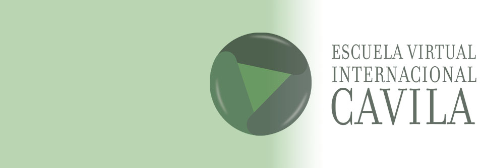 Becas para los cursos de la 4ª Escuela Virtual Internacional CAVILA